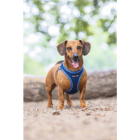Beeztees Parinca Neopren Köpek Göğüs Tasması 38-44cm (Mavi)