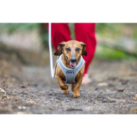 Beeztees Parinca Neopren Köpek Göğüs Tasması 38-44cm (Gri)