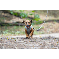 Beeztees Parinca Neopren Köpek Göğüs Tasması 38-44cm (Gri)