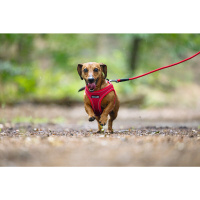 Beeztees Parinca Neopren Köpek Göğüs Tasması 30-35cm (Kırmızı)