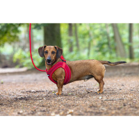 Beeztees Parinca Neopren Köpek Göğüs Tasması 30-35cm (Kırmızı)