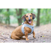 Beeztees Parinca Neopren Köpek Göğüs Tasması 30-35cm (Gri)