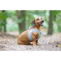 Beeztees Parinca Neopren Köpek Göğüs Tasması 30-35cm (Gri)