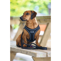 Beeztees Parinca Neopren Köpek Göğüs Tasması 30-35cm (Siyah)
