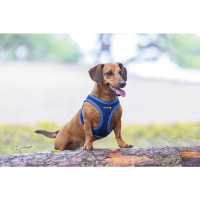 Beeztees Parinca Neopren Köpek Göğüs Tasması 30-35cm (Mavi)