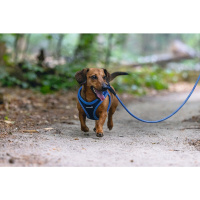 Beeztees Parinca Neopren Köpek Göğüs Tasması 30-35cm (Mavi)