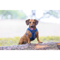 Beeztees Parinca Neopren Köpek Göğüs Tasması 30-35cm (Mavi)