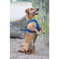 Beeztees Parinca Neopren Köpek Göğüs Tasması 30-35cm (Mavi)