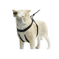 Beeztees Walker Köpek Yürüyüş Eğitim ve Düzeltme Tasması 84cm [XL]