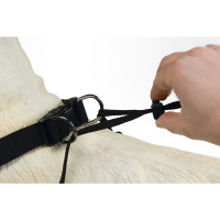 Beeztees Walker Köpek Yürüyüş Eğitim ve Düzeltme Tasması 84cm [XL]