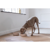 Beeztees Dbl Pom Yavaş Besleme Köpek Mama Kabı 1430ml (Bej)