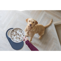 Beeztees Dbl Pom Yavaş Besleme Köpek Mama Kabı 1430ml (Bej)