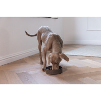 Beeztees Dbl Pom Yavaş Besleme Köpek Mama Kabı 1430ml (Antrasit)