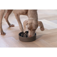 Beeztees Dbl Pom Yavaş Besleme Köpek Mama Kabı 1430ml (Antrasit)