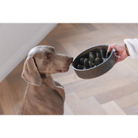 Beeztees Dbl Pom Yavaş Besleme Köpek Mama Kabı 1430ml (Antrasit)