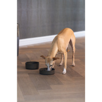 Beeztees Dbl Pom Yavaş Besleme Köpek Mama Kabı 800ml