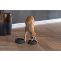 Beeztees Dbl Pom Yavaş Besleme Köpek Mama Kabı 800ml