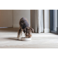 Beeztees Dbl Yavaş Besleme Köpek Mama Kabı 800ml (Bej)