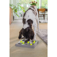Beeztees Köpek Zeka Geliştirme Oyuncağı 28x28x4,5cm (Gri-Sarı)