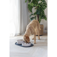 Beeztees Dbl Oona Kaymaz Silikon Mama Su Kabı Servisi 55x30x1,7cm (Antrasit)