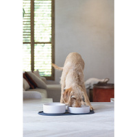 Beeztees Dbl Oona Kaymaz Silikon Mama Su Kabı Servisi 55x30x1,7cm (Antrasit)