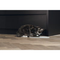 Beeztees Dbl Oona Silikon Kaymaz Mama Su Kabı Servisi 45x25x1,5cm (Bej)