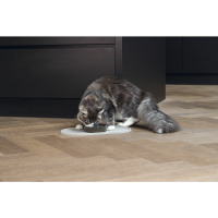 Beeztees Dbl Oona Silikon Kaymaz Mama Su Kabı Servisi 45x25x1,5cm (Bej)