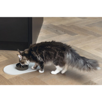 Beeztees Dbl Oona Silikon Kaymaz Mama Su Kabı Servisi 45x25x1,5cm (Bej)
