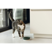 Beeztees Dbl Kedi ve Köpekler için Seramik Mama ve Su Kabı 12x12x4cm 300ml (Mat Yeşil)