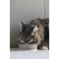 Beeztees Dbl Kedi ve Köpekler için Seramik Mama ve Su Kabı 12x12x4cm 300ml (Mat Gri)