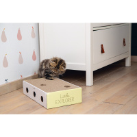 Beeztees Riva Yavru Kedi Tırmalama Kartonu ve Oyuncağı 25x42x10cm