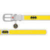 Collar WAUDOG  Batman 2 Desenli ve QR Pasaportlu Köpek Deri Boyun Tasması 29-38cm/20mm (Beyaz)