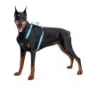 Collar WAUDOG Fosforlu ve QR Pasaportlu Köpek Göğüs Tasması 65-85cm [L] (Mavi)