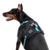 Collar WAUDOG Fosforlu ve QR Pasaportlu Köpek Göğüs Tasması 80-100cm [XL] (Mavi)