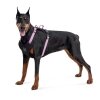 Collar WAUDOG Fosforlu ve QR Pasaportlu Köpek Göğüs Tasması 80-100cm [XL] (Pembe)