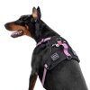 Collar WAUDOG Fosforlu ve QR Pasaportlu Köpek Göğüs Tasması 65-85cm [L] (Pembe)