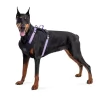 Collar WAUDOG Fosforlu ve QR Pasaportlu Köpek Göğüs Tasması 55-65cm [S] (Mor)