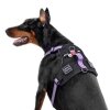 Collar WAUDOG Fosforlu ve QR Pasaportlu Köpek Göğüs Tasması 80-100cm [XL] (Mor)