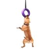 Collar Puller Maxi Eğitim ve Oyun Halkası Köpek Oyuncağı 30cm (Mor)
