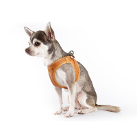 Curli Elma Liflerinden Bitkisel Deri Köpek Göğüs Tasması 49,1–55,4cm (Kahverengi) [L]