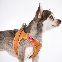Curli Elma Liflerinden Bitkisel Deri Köpek Göğüs Tasması 49,1–55,4cm (Kahverengi) [L]