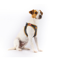 Curli Elma Liflerinden Bitkisel Deri Köpek Göğüs Tasması 49,1–55,4cm (Siyah) [L]