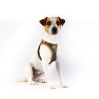 Curli Elma Liflerinden Bitkisel Deri Köpek Göğüs Tasması 49,1–55,4cm (Siyah) [L]
