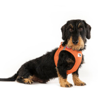 Curli Vest Harness Köpek Göğüs Tasması 26,7x30,1cm (Turuncu) [XXXS]