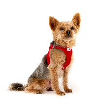 Curli Vest Harness Köpek Göğüs Tasması 30,2x33,8cm (Kırmızı) [XXS]