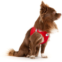 Curli Vest Harness Köpek Göğüs Tasması 30,2x33,8cm (Kırmızı) [XXS]