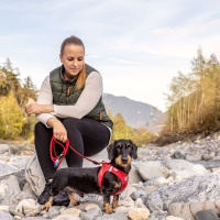 Curli Vest Harness Köpek Göğüs Tasması 30,2x33,8cm (Kırmızı) [XXS]