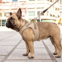 Curli Vest Harness Köpek Göğüs Tasması 38,3x43,3cm (Bej) [S]