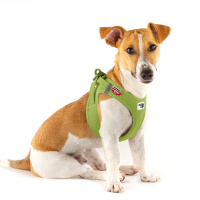 Curli Vest Harness Köpek Göğüs Tasması 43,4x49cm (Yeşil) [M]