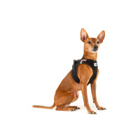 Curli Vest Harness Köpek Göğüs Tasması 43,4x49cm (Siyah) [M]